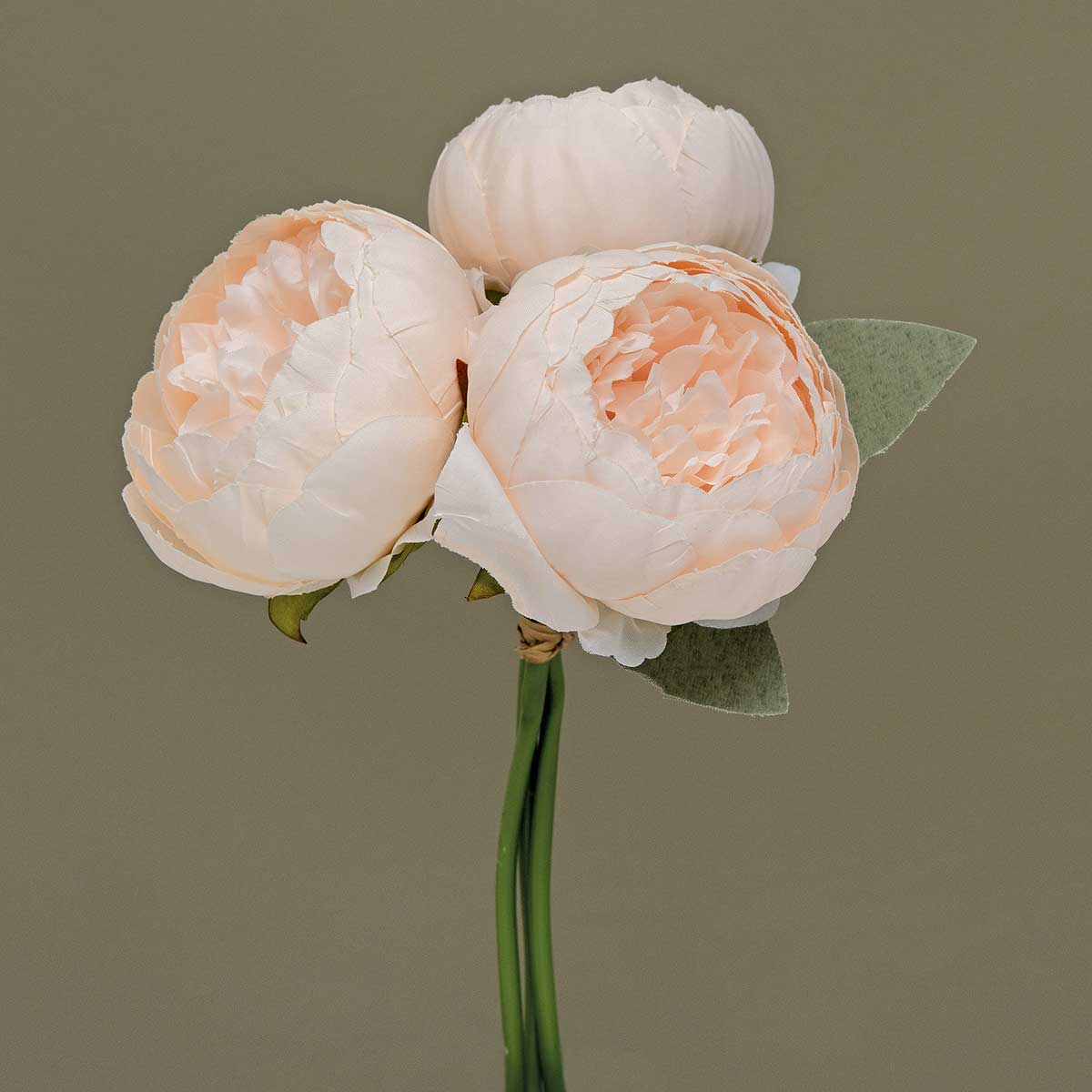 BUNDLE OF 3 PEONY CHAMPAGNE